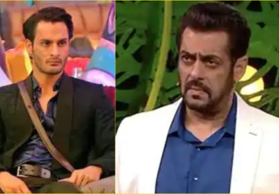 Bigg Boss Contestants Who Were Thrown Out Of The House Due To Violence umar riaz